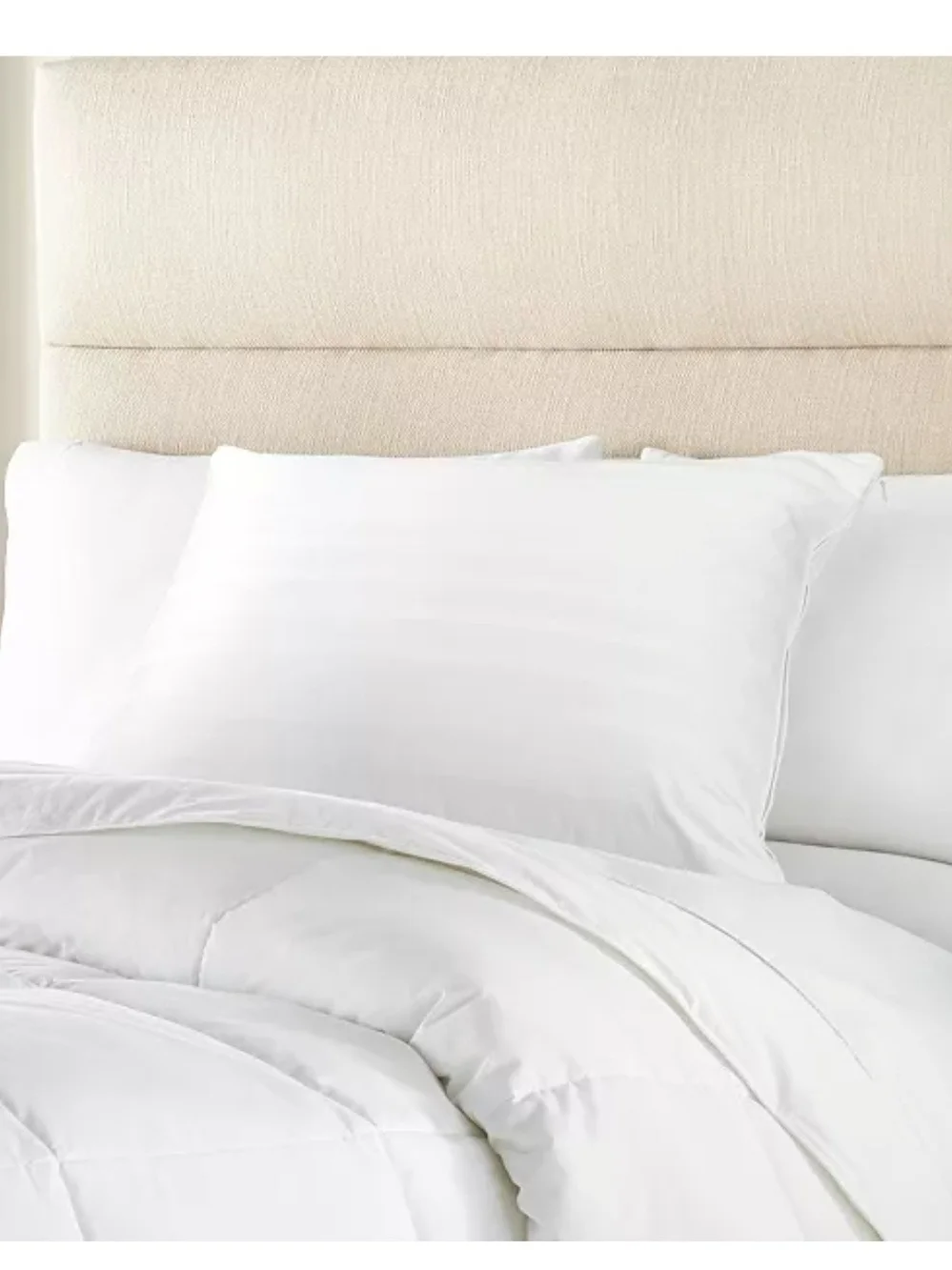 Charter Club 360 Down Pillow